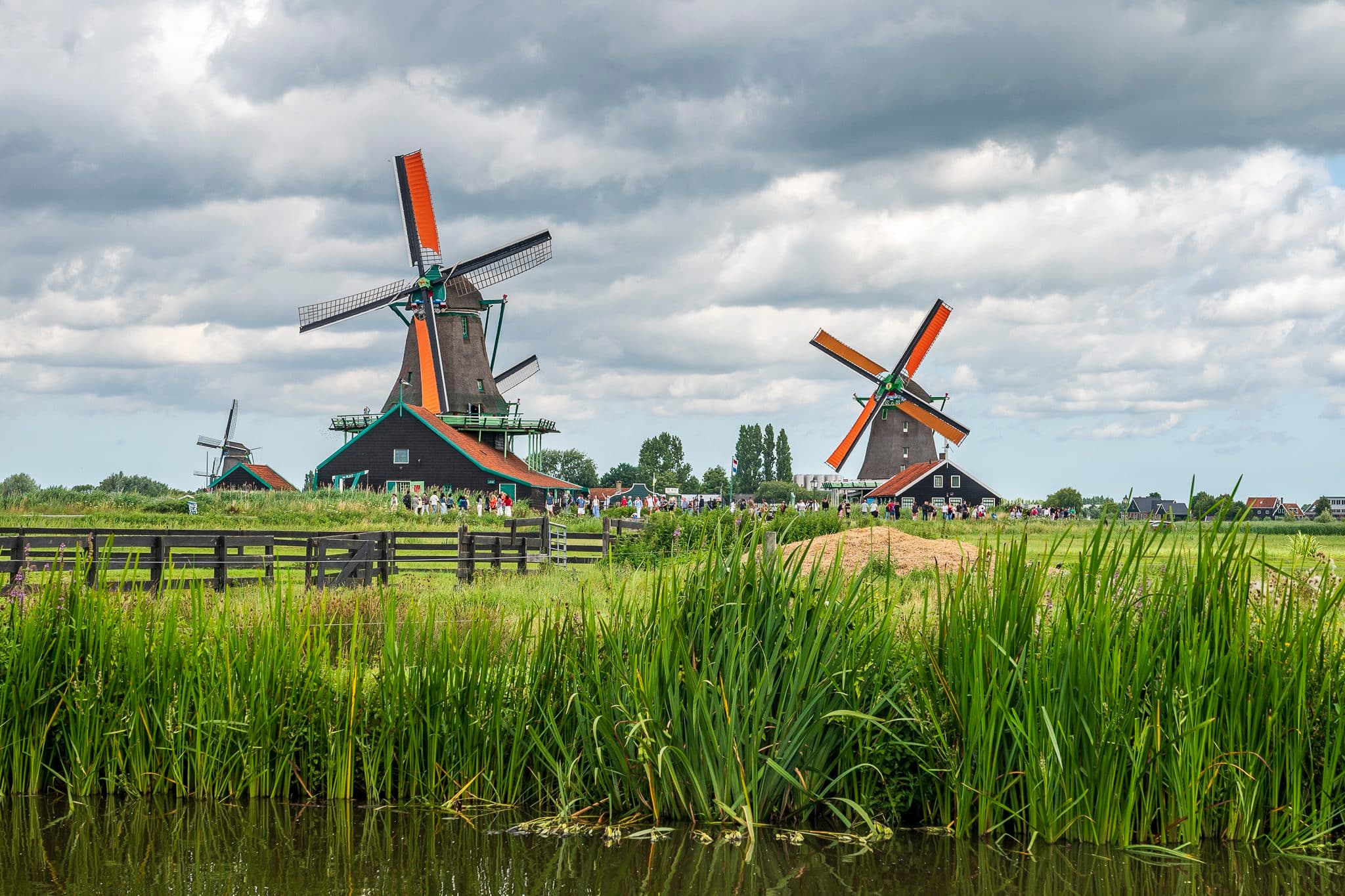 Molinos de Zaanse Schans entre juncos y nubes